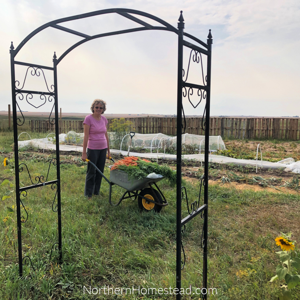 No-dig or double dig? - Northern Homestead