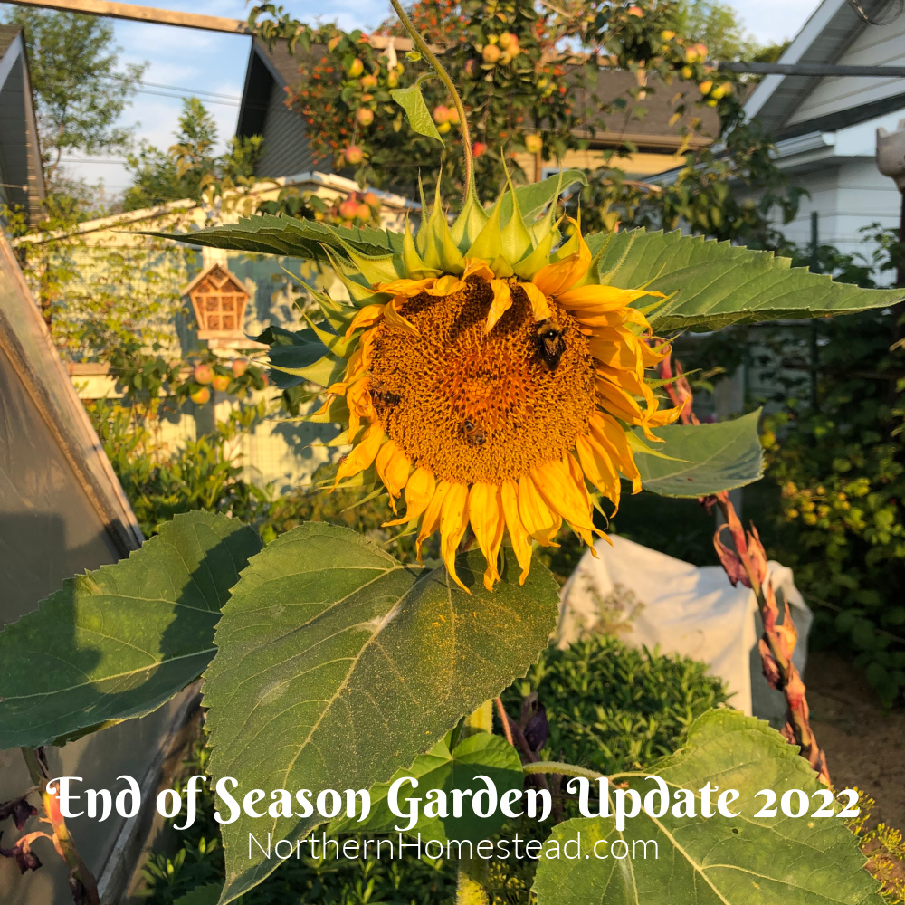 End of Season Garden Update 2022