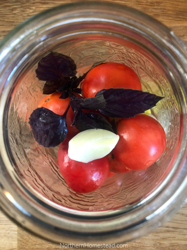 Fermented Tomatoes