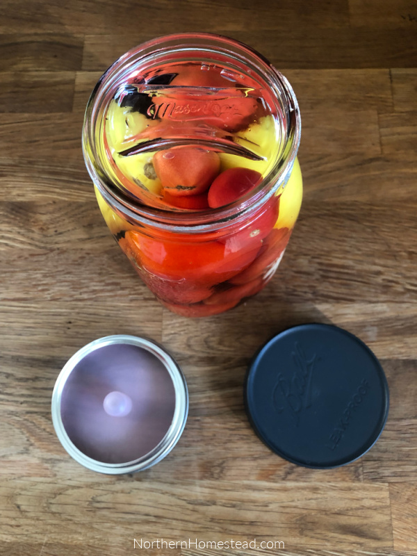 Fermenting tomatoes