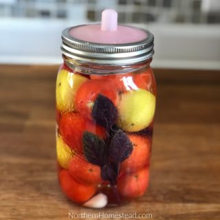 Fermented Tomatoes