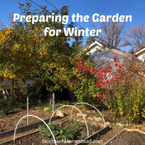 Preparing the Garden for Winter