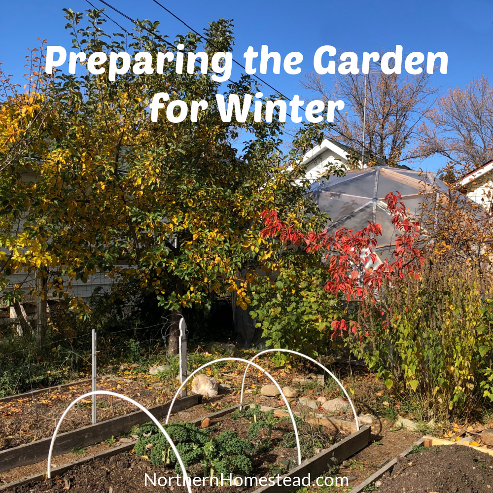 Preparing the Garden for Winter