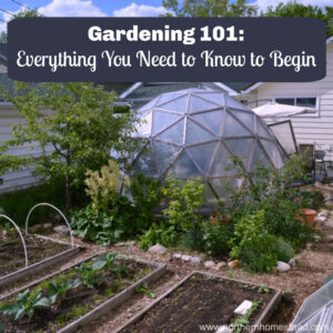 Gardening 101: Everything You Need to Know to Begin