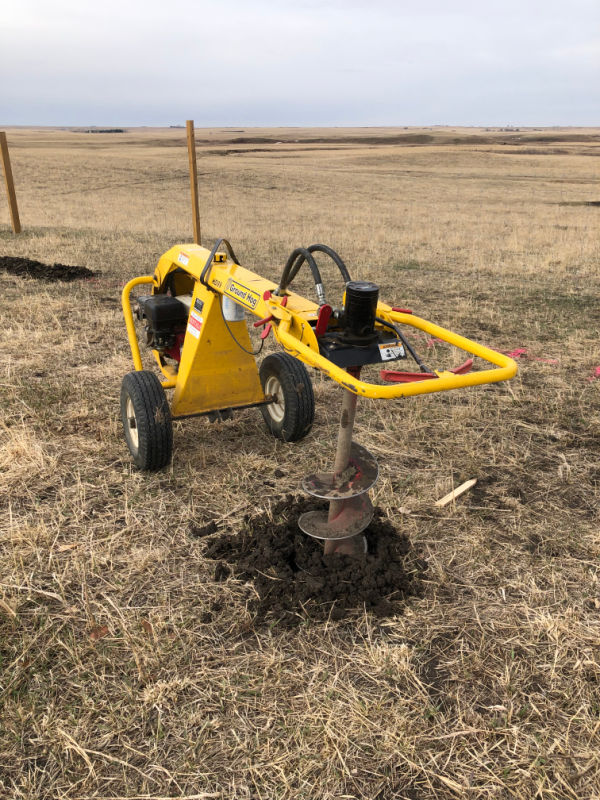 Planting a shelterbelt