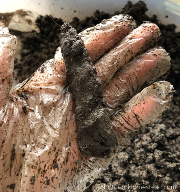 Making seed bombs