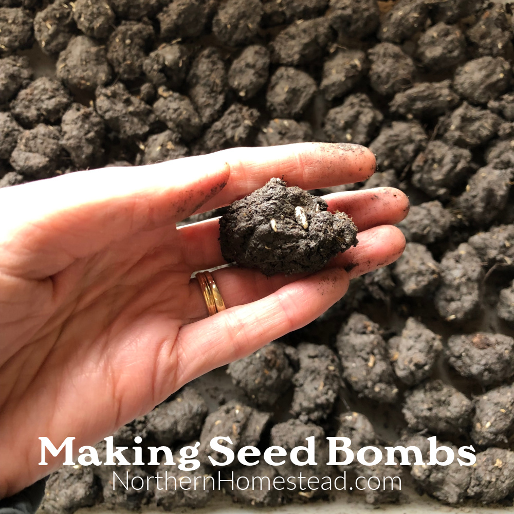 Making and planting seed bombs