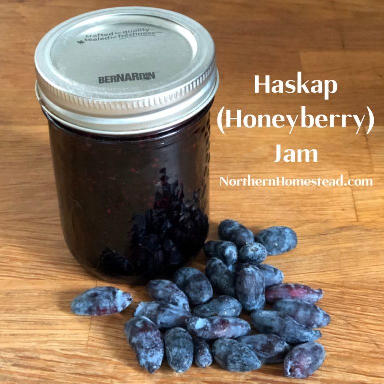 Haskap (Honeyberry) Jam Northern Homestead
