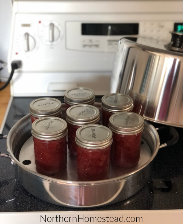 Canning 101: Should You Use a Steam Canner? – Food in Jars