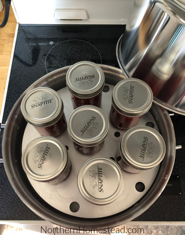 Canning 101: Should You Use a Steam Canner? – Food in Jars