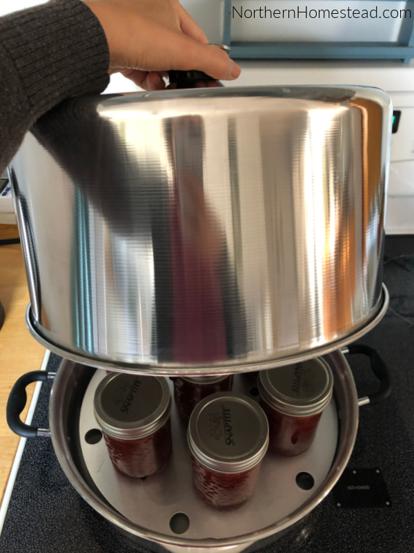 Canning 101: Should You Use a Steam Canner? – Food in Jars