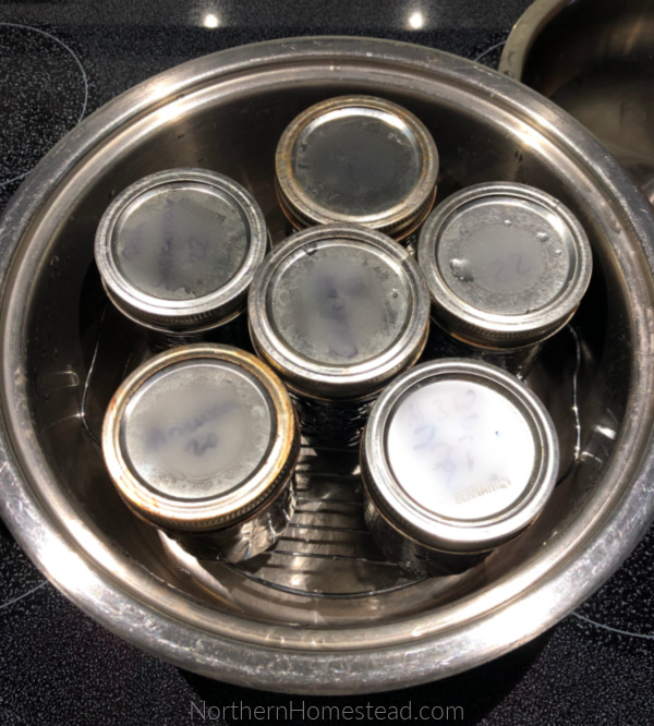 Transform Your Canning Experience with a Steam Canner