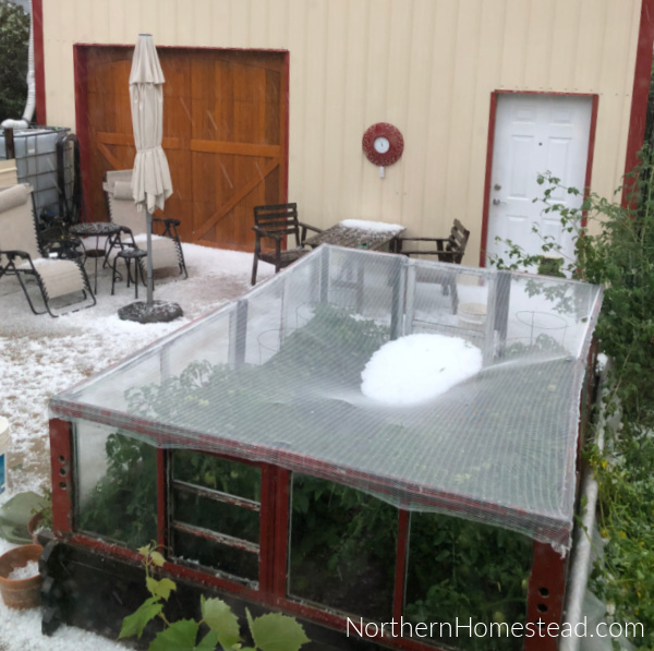 Hail protection on a raised garden