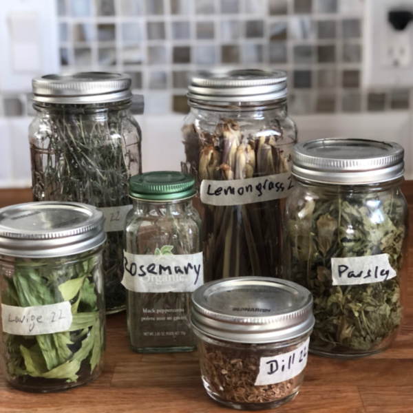 From Garden to Garnish: Drying Culinary Herbs