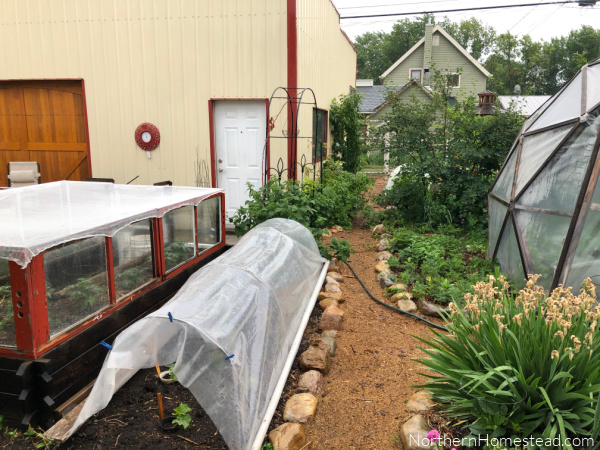 End-of-Season Garden Update for 2023: A Rollercoaster Year