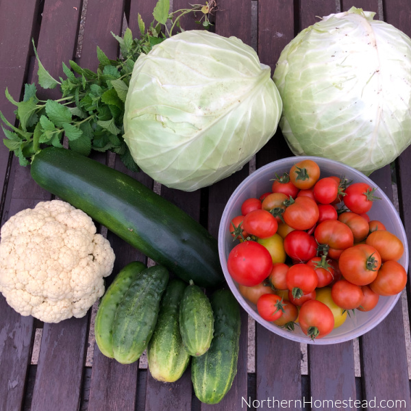 Garden harvest