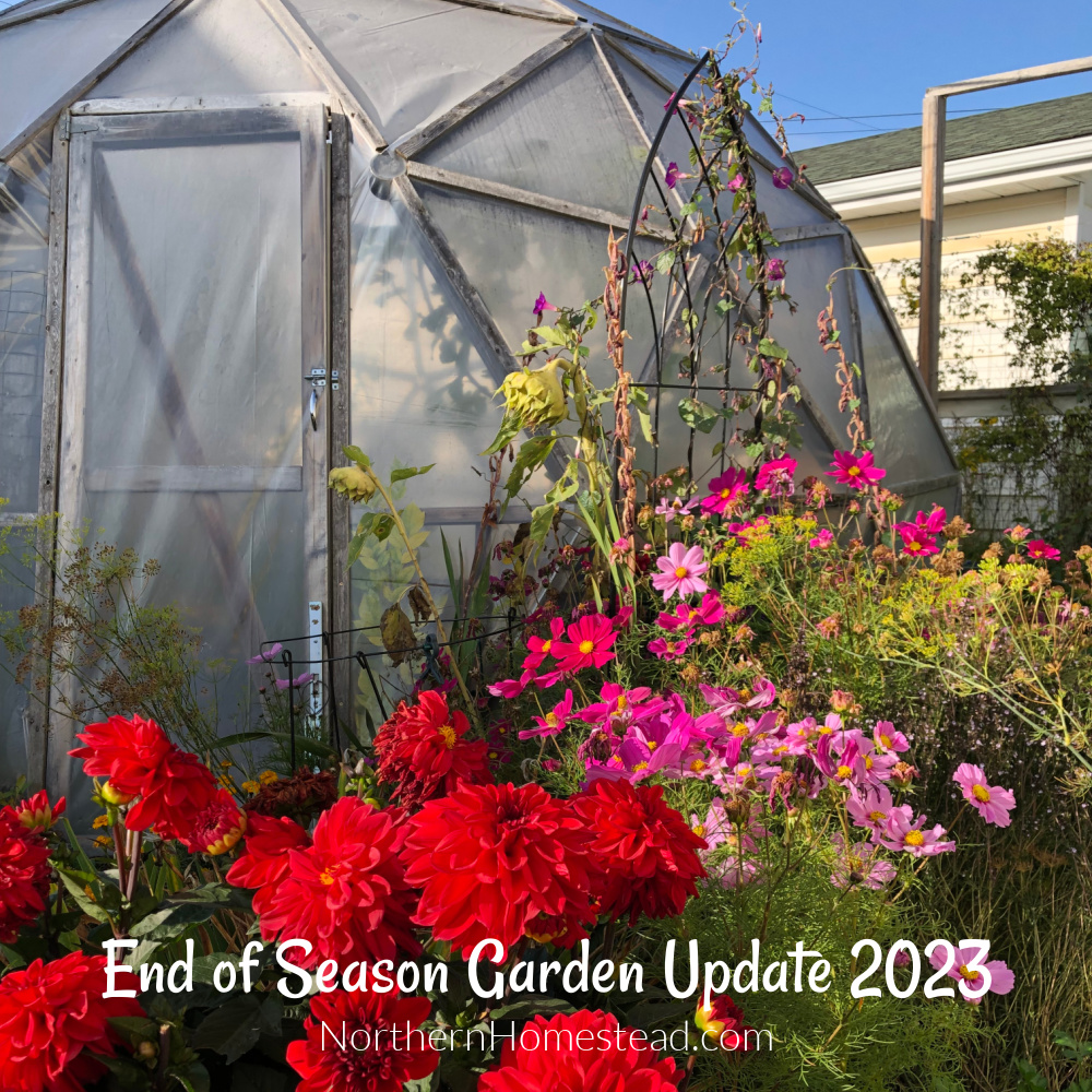 End-of-Season Garden Update for 2023: A Rollercoaster Year