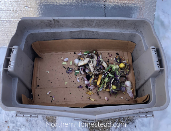 Simple Winter Compost Solution: Keeping Your Composting Dreams Alive
