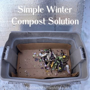 Simple Winter Compost Solution - Northern Homestead
