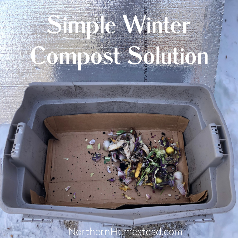 Simple Winter Compost Solution: Keeping Your Composting Dreams Alive