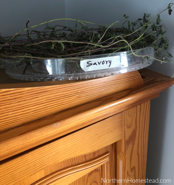 From Garden to Garnish: Drying Culinary Herbs