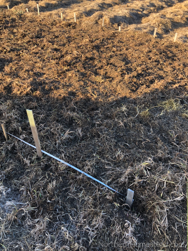 Expanding the Country Garden Beds