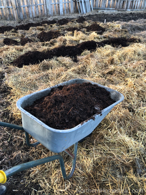 Expanding the Country Garden Beds