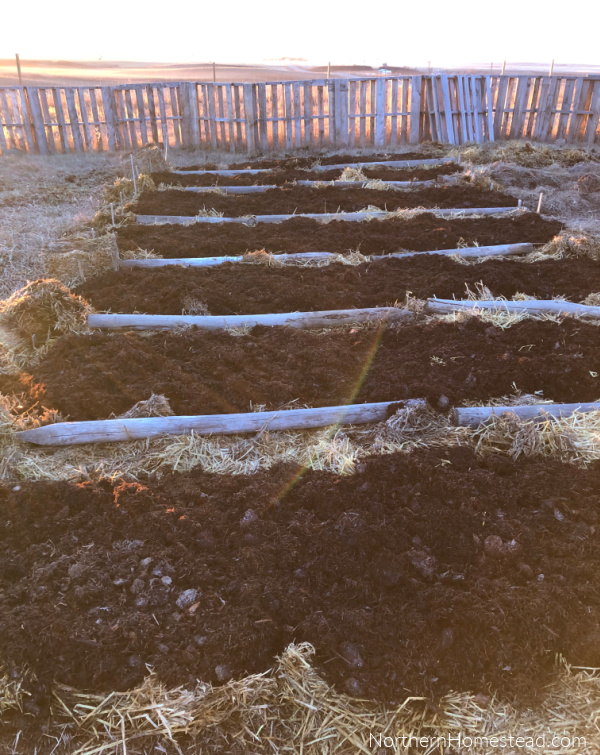 Expanding the Country Garden Beds