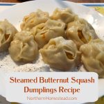 Steamed Butternut Squash Dumplings Recipe
