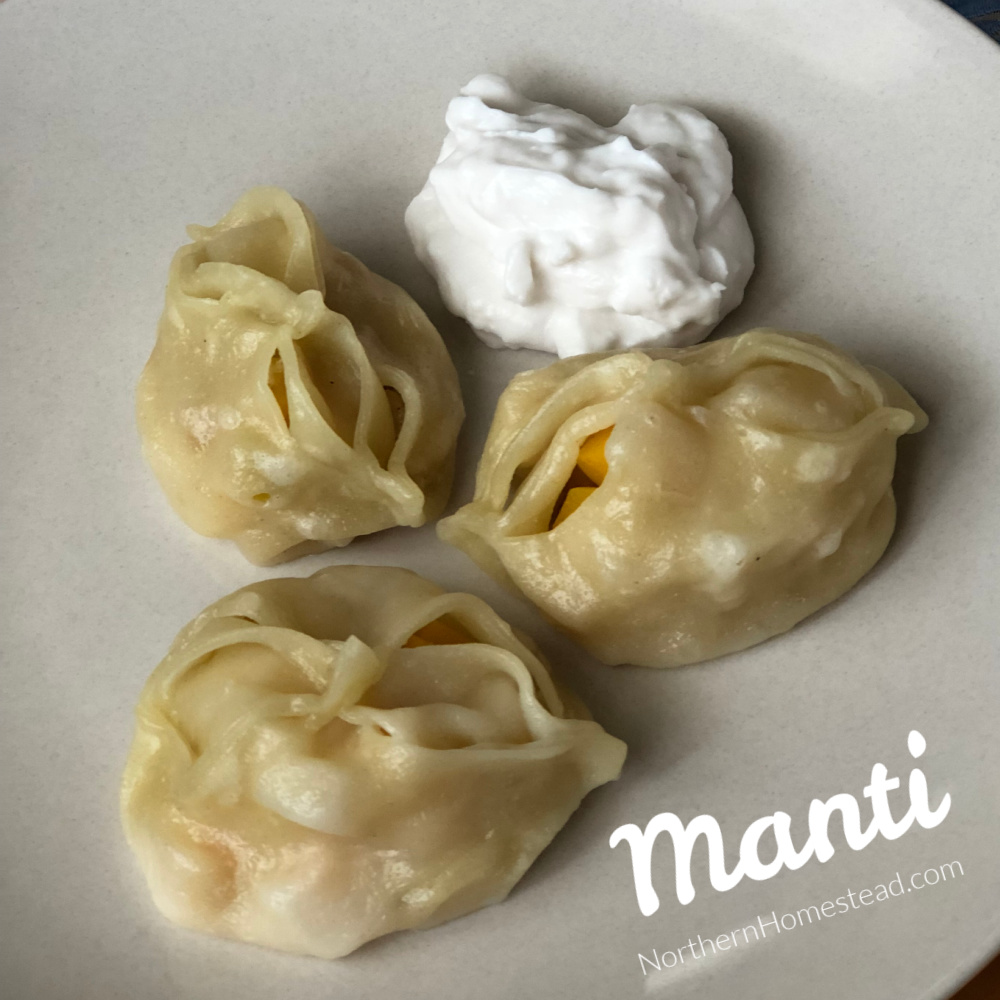 Steamed Butternut Squash Dumplings Recipe