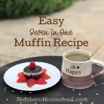 Easy seven in one muffin recipe