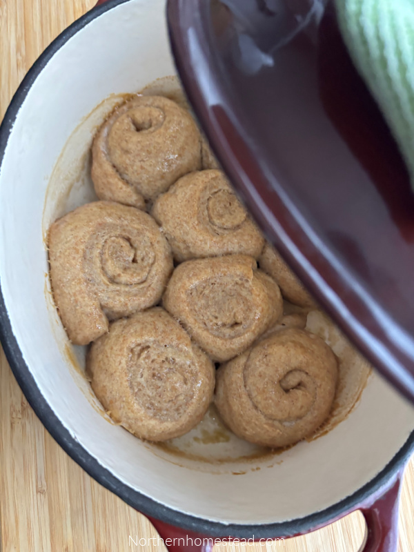German Steamed Dumplings Recipe