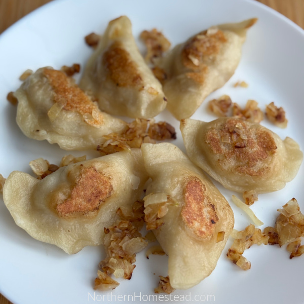 Homemade Pierogi Recipe