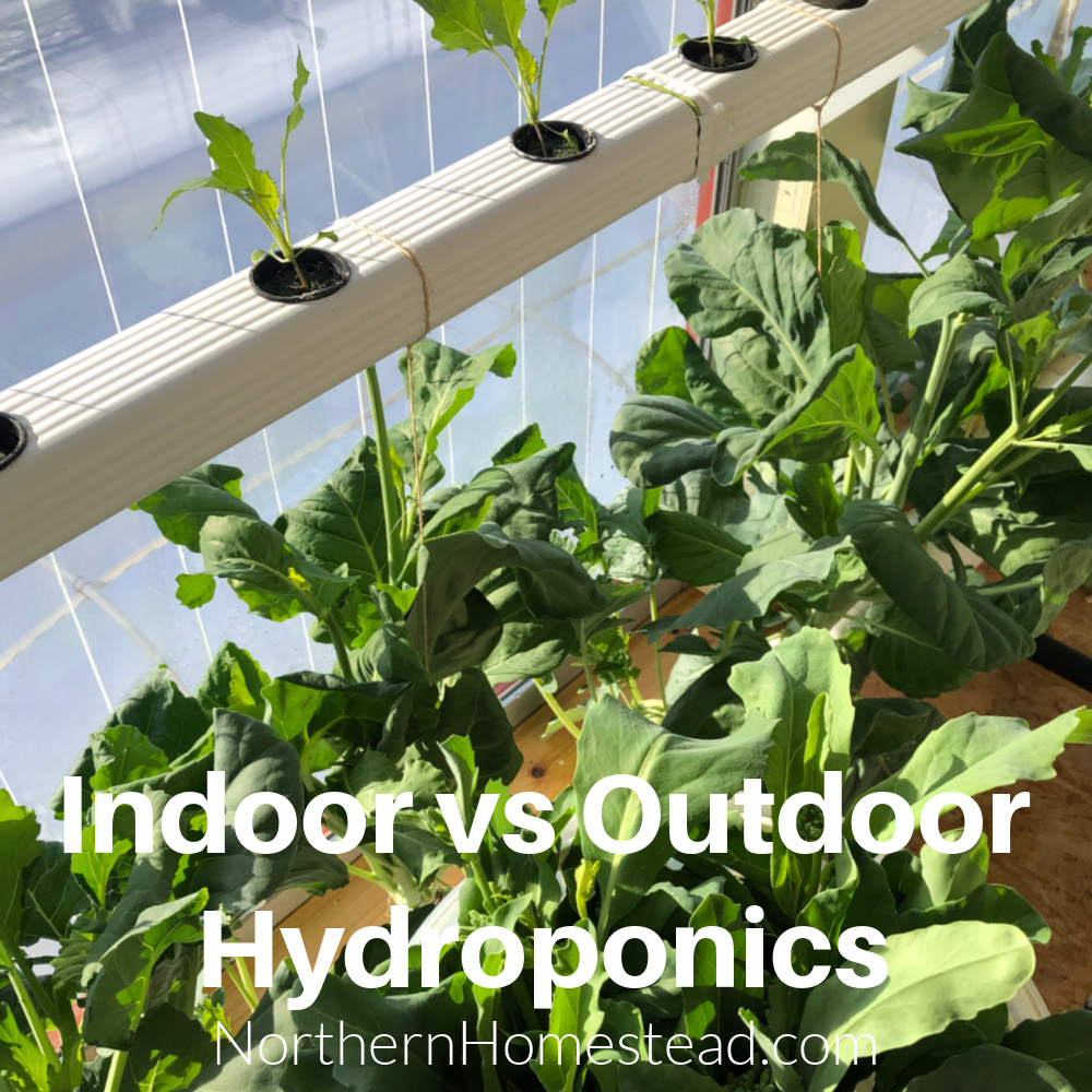 Indoor vs Outdoor Hydroponics: Easy Tips for Success 
