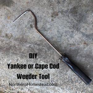 DIY Yankee or Cape Cod Weeder Tool