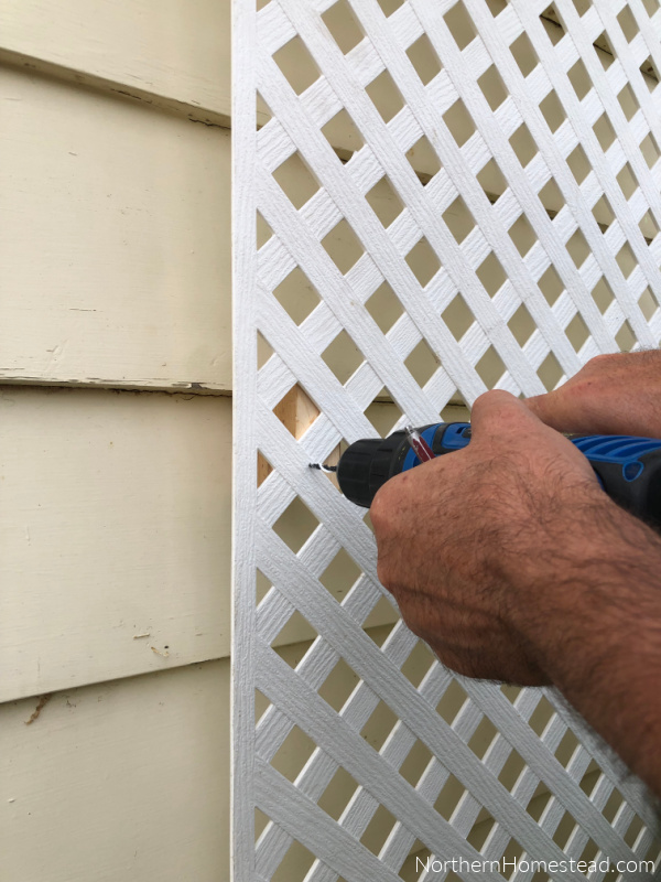 Easy lattice trellis for climbing plants