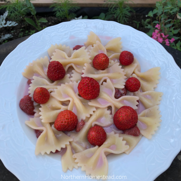 PASTA IN STRAWBERRY SAUCE RECIPE