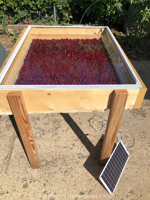 Simple DIY Solar Food Dehydrator