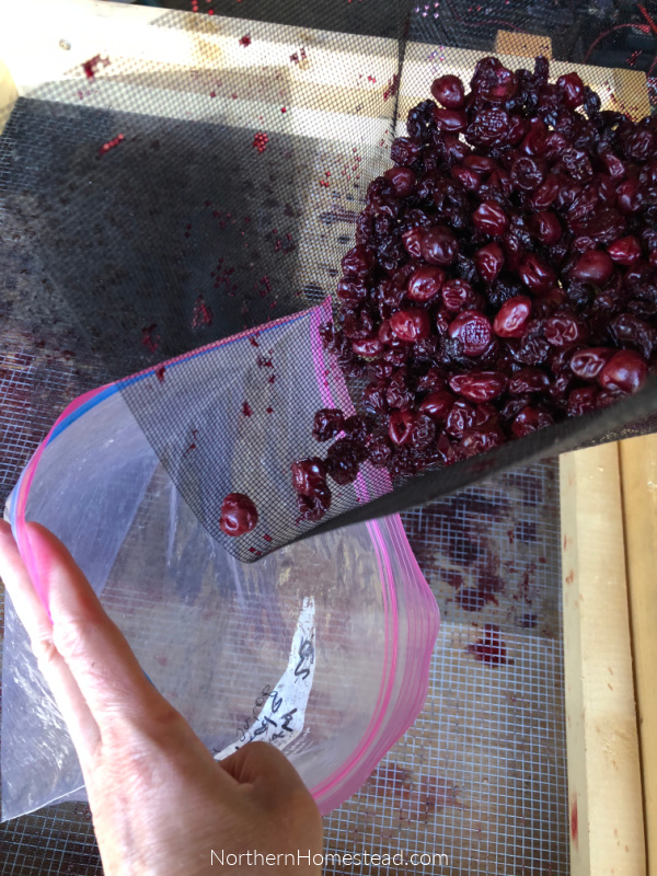 Simple DIY Solar Food Dehydrator