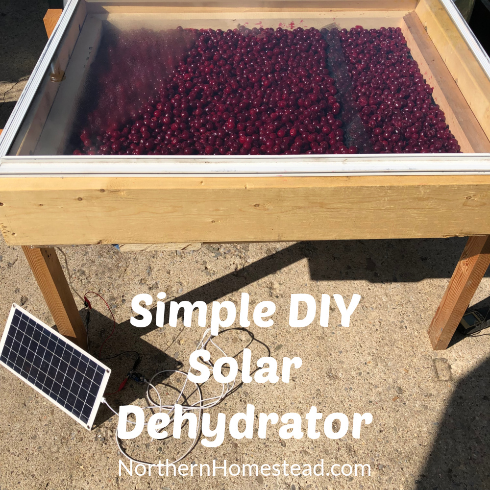 Simple DIY Solar Food Dehydrator