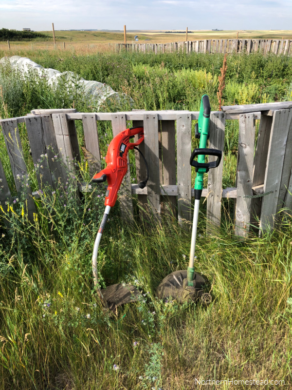 What to do with a garden overgrown with weeds