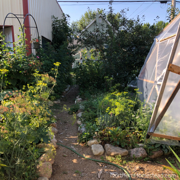 Ten Years Yard-to-Garden Initiative Update