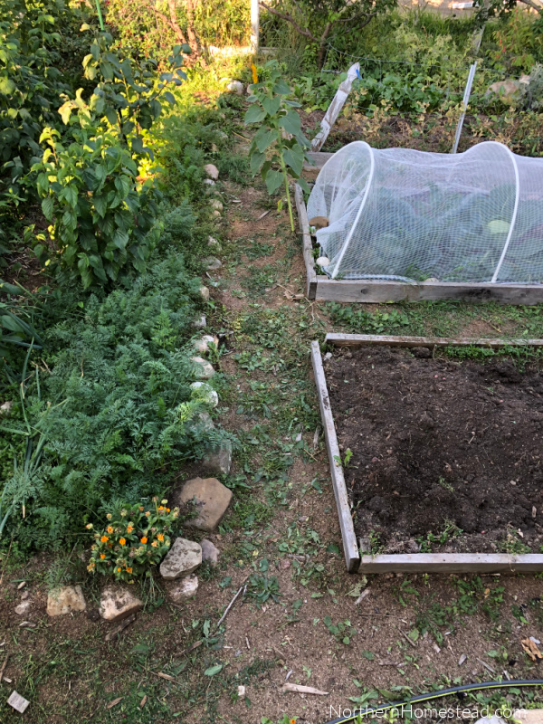 Ten Years Yard-to-Garden Initiative Update