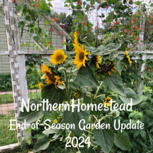 End of season garden update for 2024