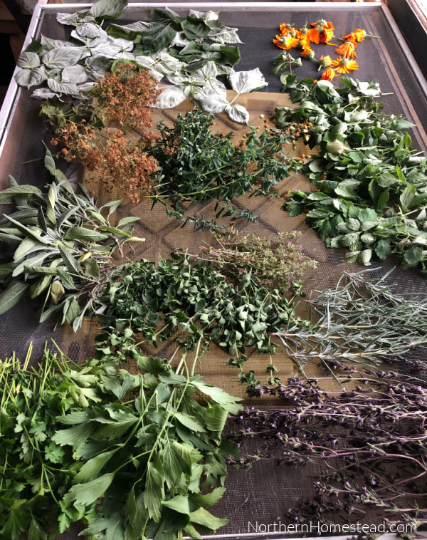 Edible flowers and herbs