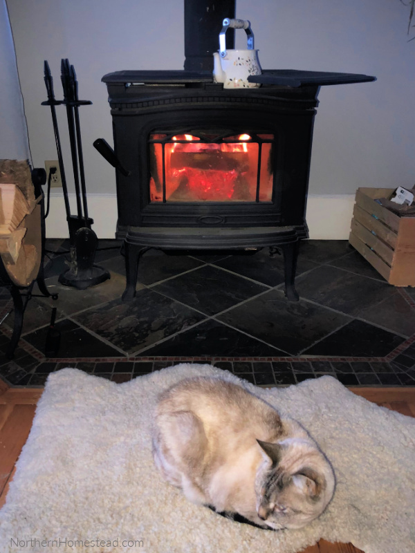 Heating your Home with a Wood Stove in Town