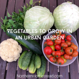 Vegetables to grow in an urban garden