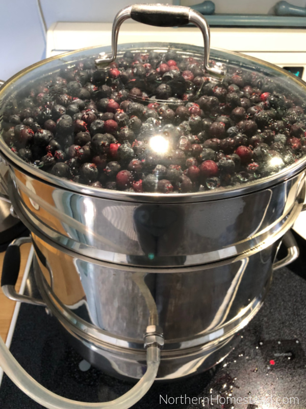 Steam Juicer, a Simple Way to Preserve Fruit and Berries