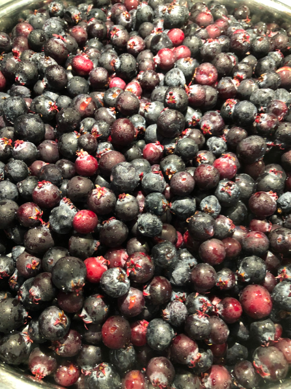 Steam Juicer, a Simple Way to Preserve Fruit and Berries