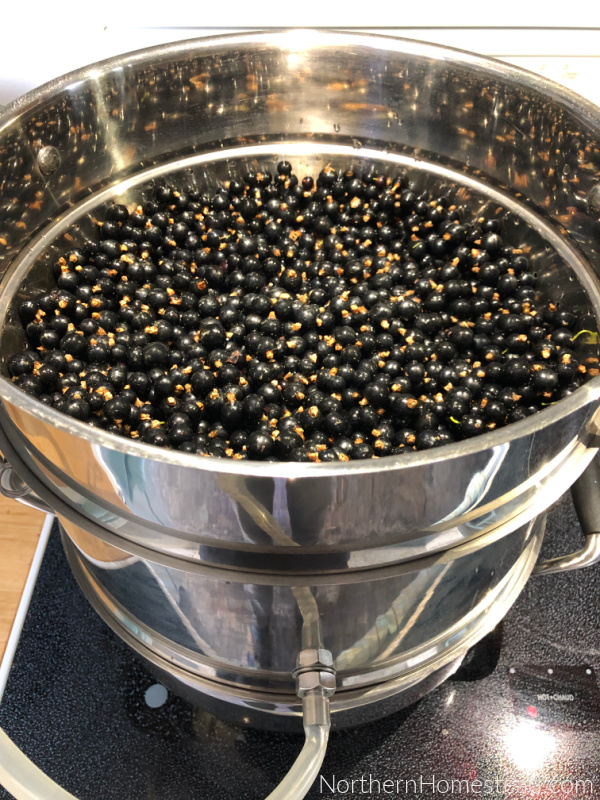 Steam Juicer, a Simple Way to Preserve Fruit and Berries